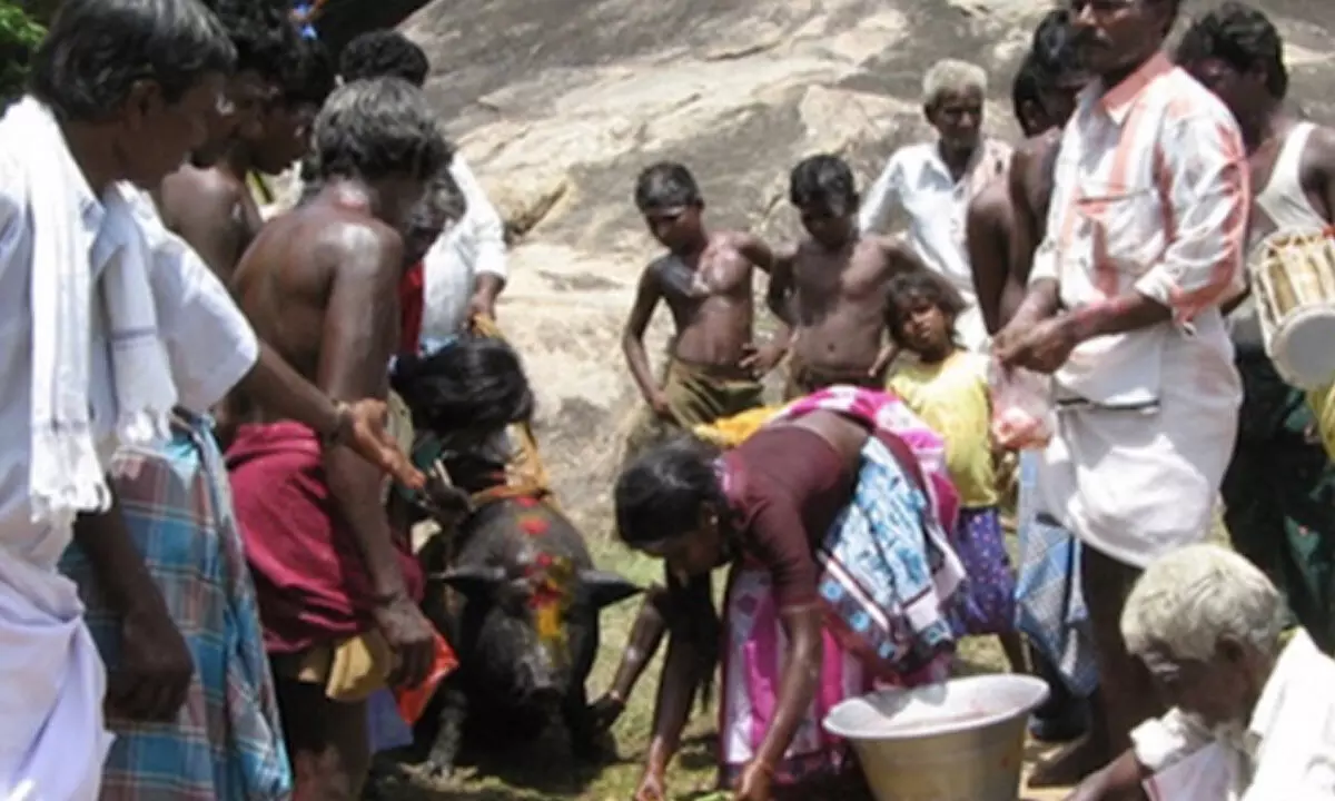 TN govt department to conduct survey of Puthirai Vannar community