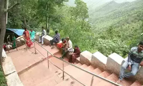 Wildlife scientists visits Tirumala walkway, inspects on setting up fencing