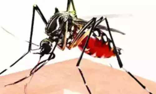 Delhi BJPs Praveen Shankar Kapoor Raises Concerns Over Deteriorating Cleanliness Standards And Dengue Crisis