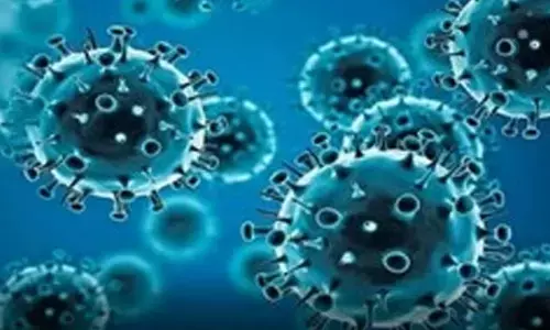 Study finds link between Covid-19 mutations and high immune responses