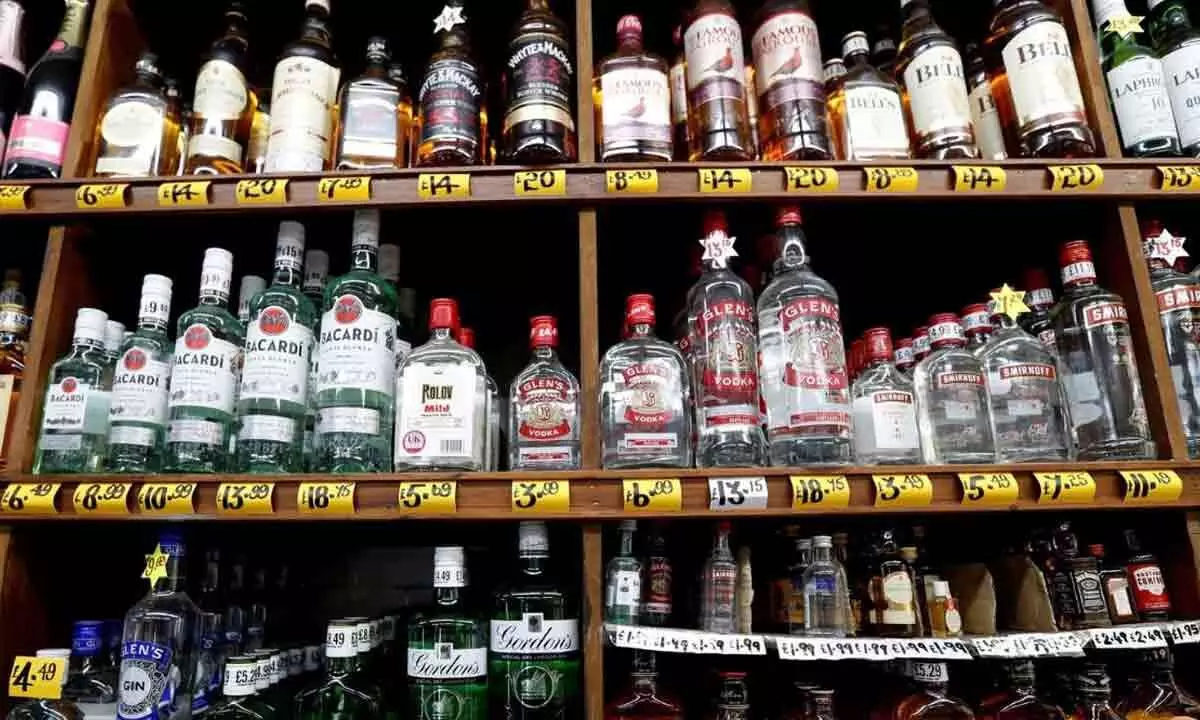 Delhi Government Extends Excise Policy: Impact On Liquor Trade And Future Plans