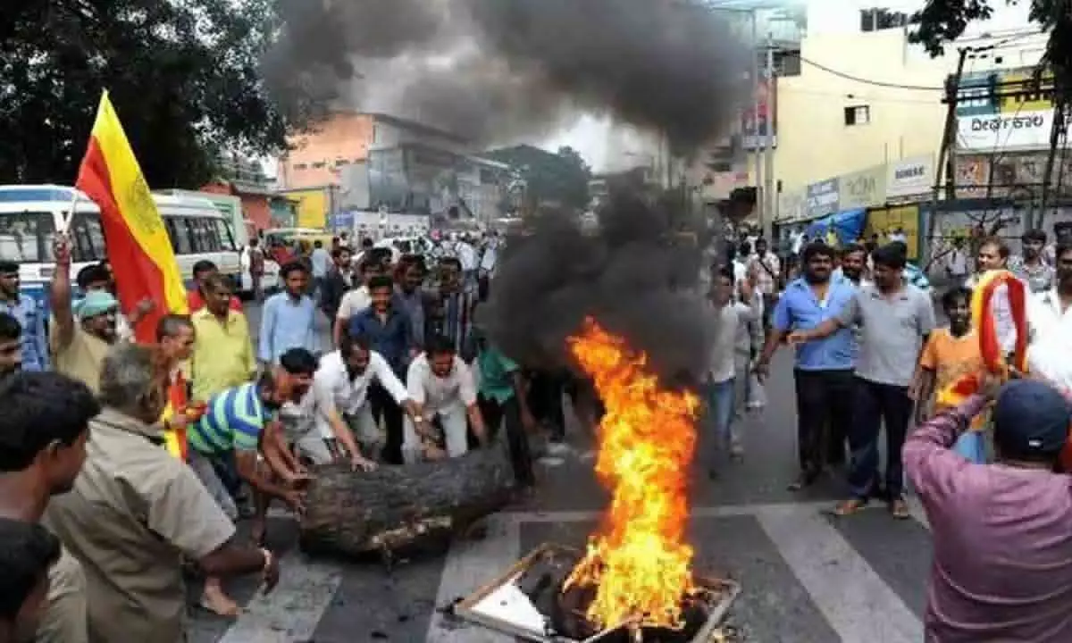 Protests And Shutdowns Grip Bengaluru Over Cauvery Water Dispute