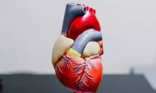 Just 50 steps climbing stairs a day can cut heart disease risk by 20%