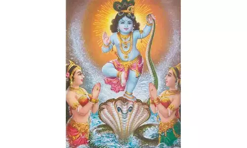 Snake In the Mind’s Lake