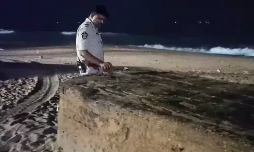 A wooden box washed ashore at coastline in Visakhapatnam