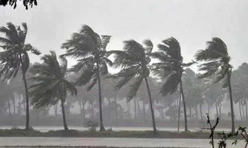 Monsoons revive spirits in southern coastal districts