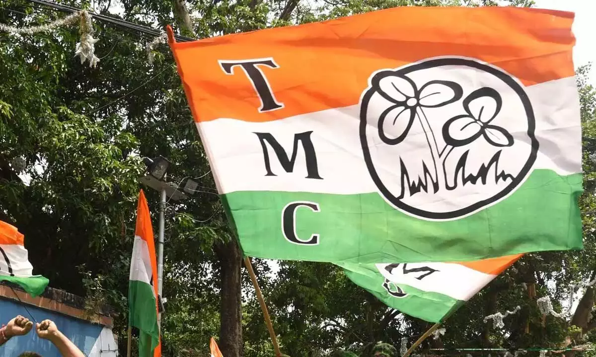 Trinamool Congress Stages Two-Day Protest In Delhi Over Delayed Funds For Rural Schemes
