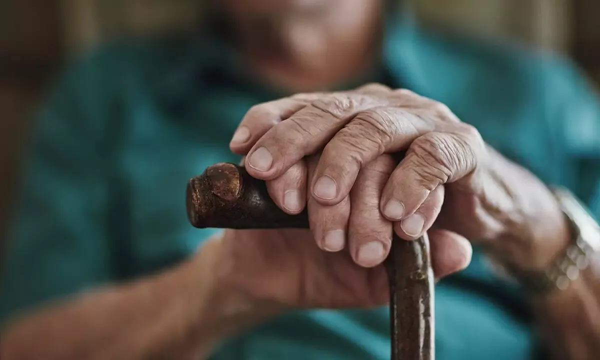 Pension, healthcare top queries of senior citizens online