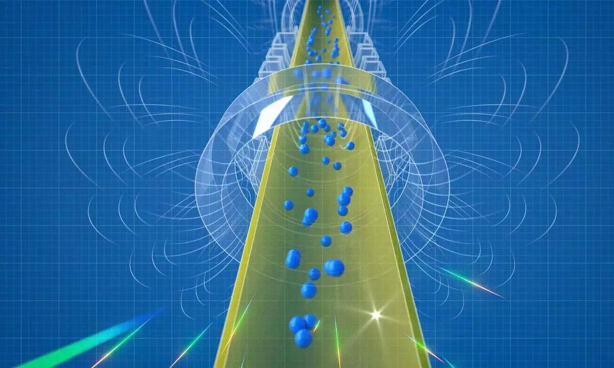 How gravity affects antimatter