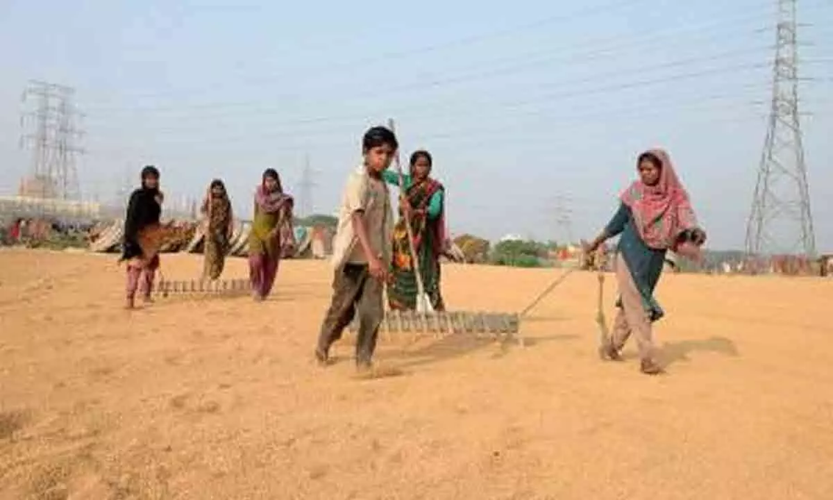 Farmers not getting MSP on paddy in Haryana, says Hooda