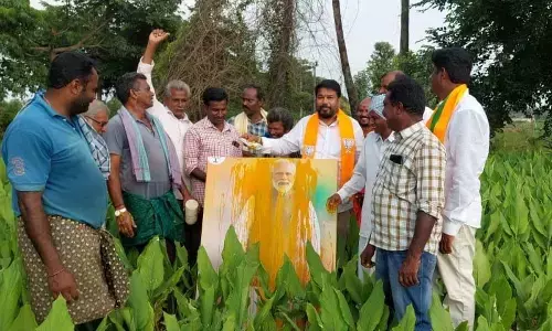 BJP leaders performing abhishekam to Prime Minister Narendra Modi’s portrait with turmeric and milk