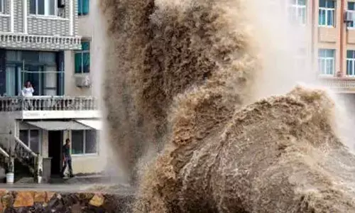 China issues alert for typhoon Koinu