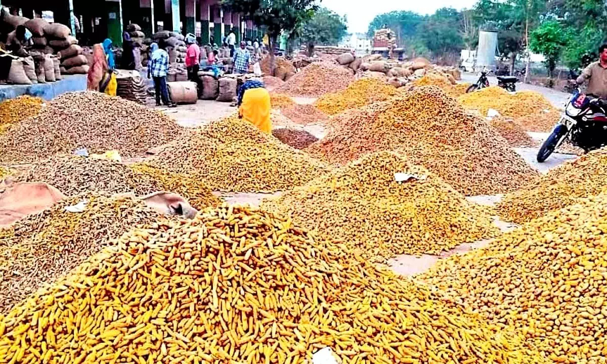 Centre issues notification on National Turmeric Board in Telangana