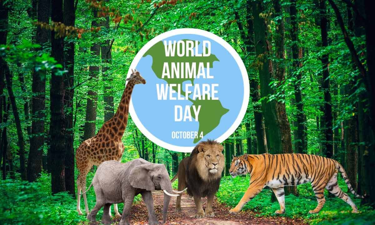 World Animal Welfare Day 2023: Theme, History, Significance, Quotes ...