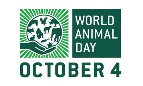 World Animal Day