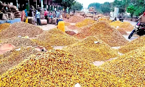 Centre issues notification on National Turmeric Board in Telangana