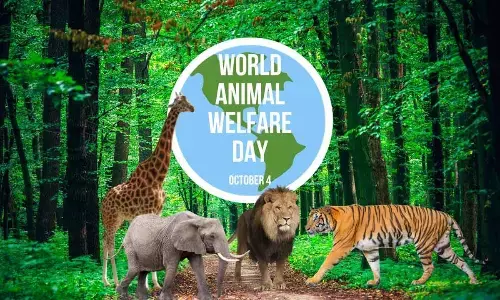 World Animal Welfare Day 2023: Theme, History, Significance, Quotes, and Interesting Facts