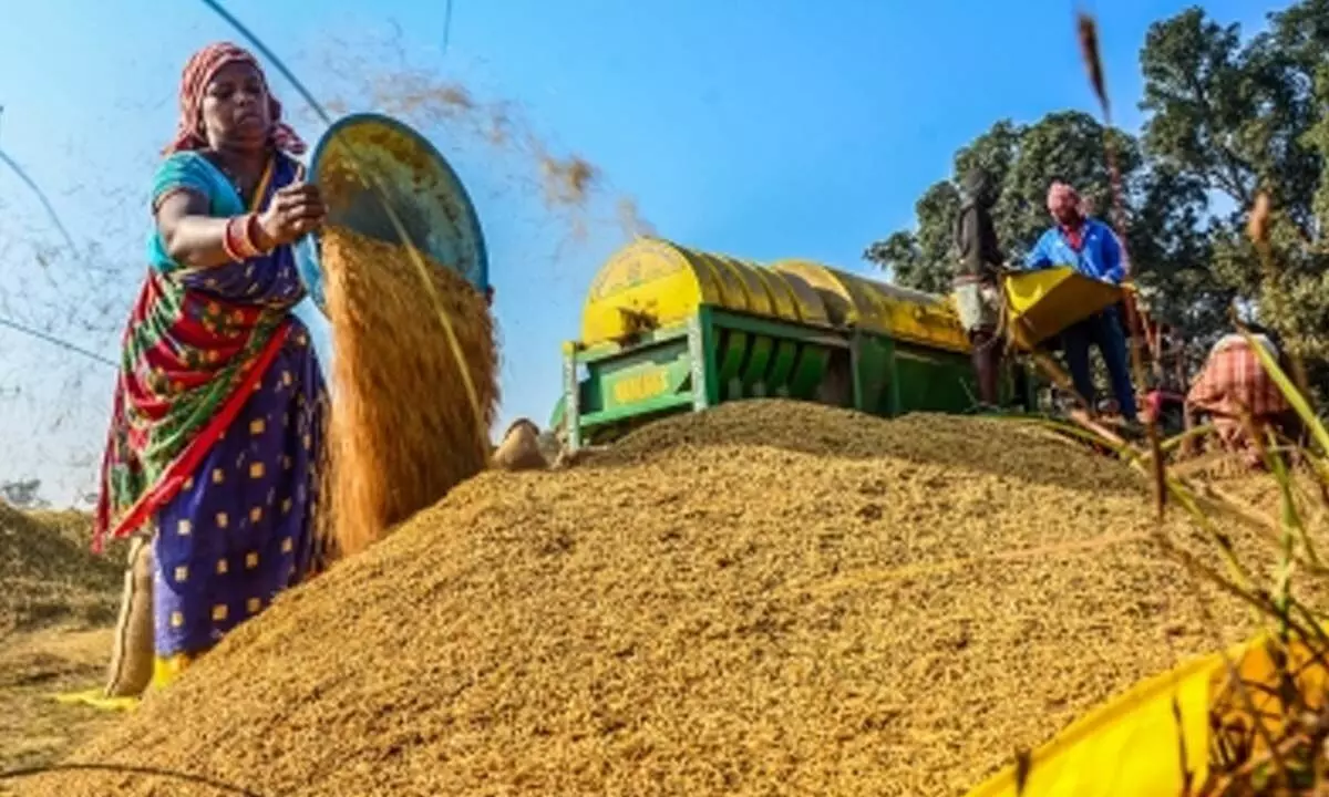 12.2 lakh metric tonnes paddy procured till Oct 3, says Centre