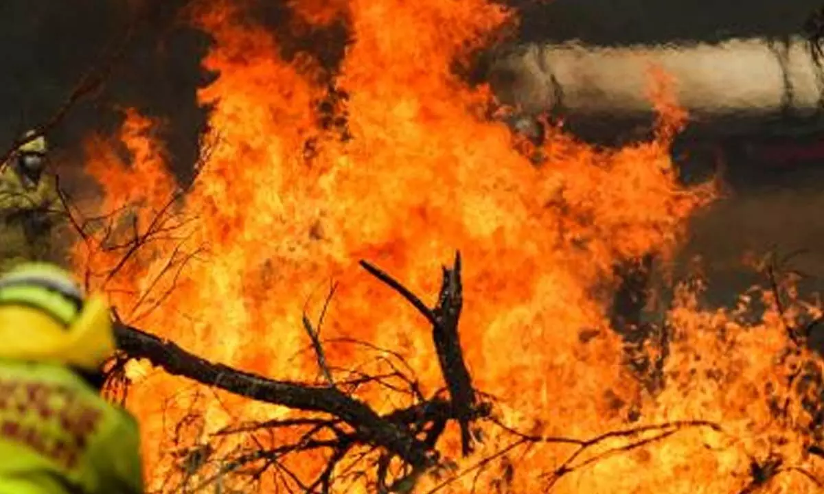 Australian state sees almost 400 bushfires in a week