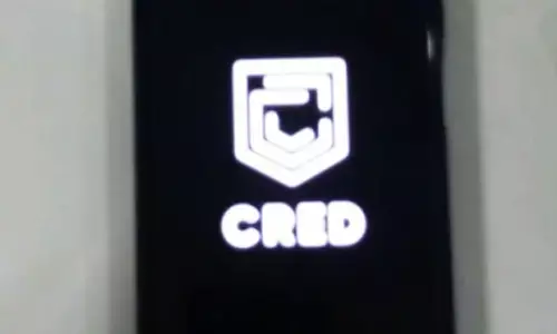 CRED’s total income grows 3.5x to Rs 1,484 cr, losses down 10% in FY23