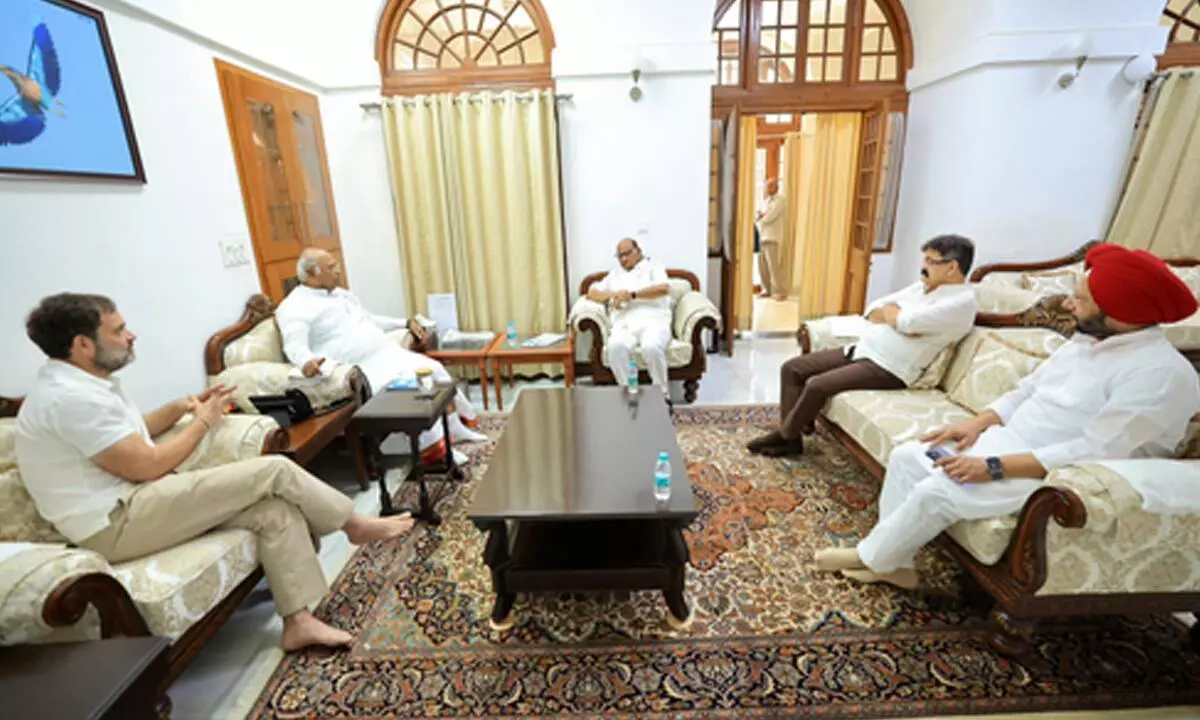 Pawar meets Kharge and Rahul, discusses road ahead for INDIA alliance
