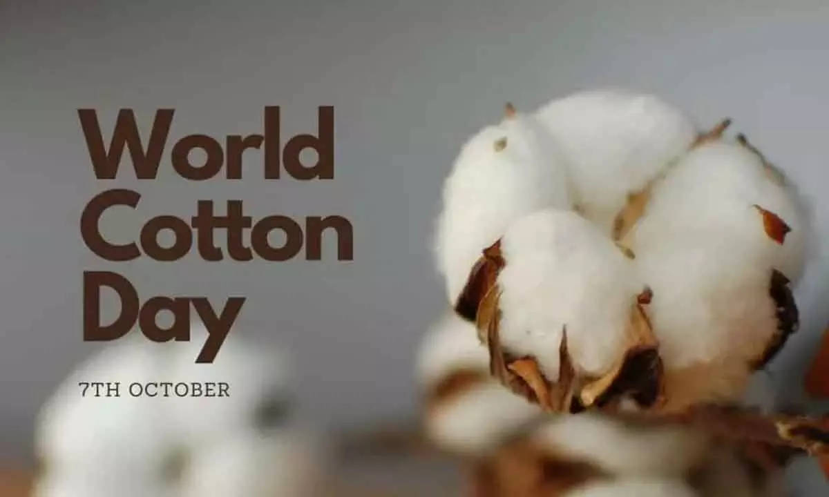 World Cotton Day