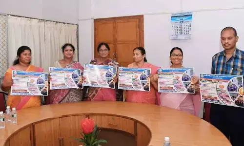 Vijayawada: IT convergent global MBA programme introduced at Stella