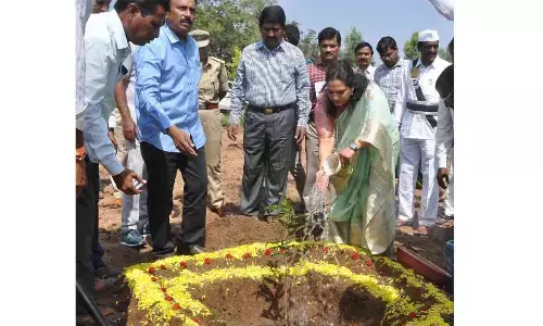 Kurnool: Spread greenery by planting more saplings says Collector Dr G Srijana