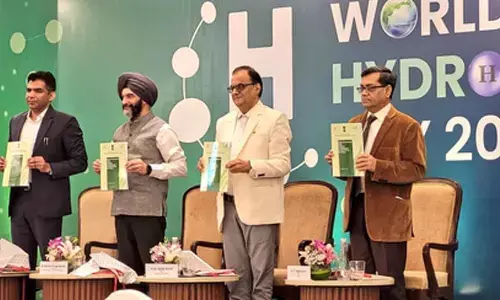Govt releases roadmap for national green hydrogen mission