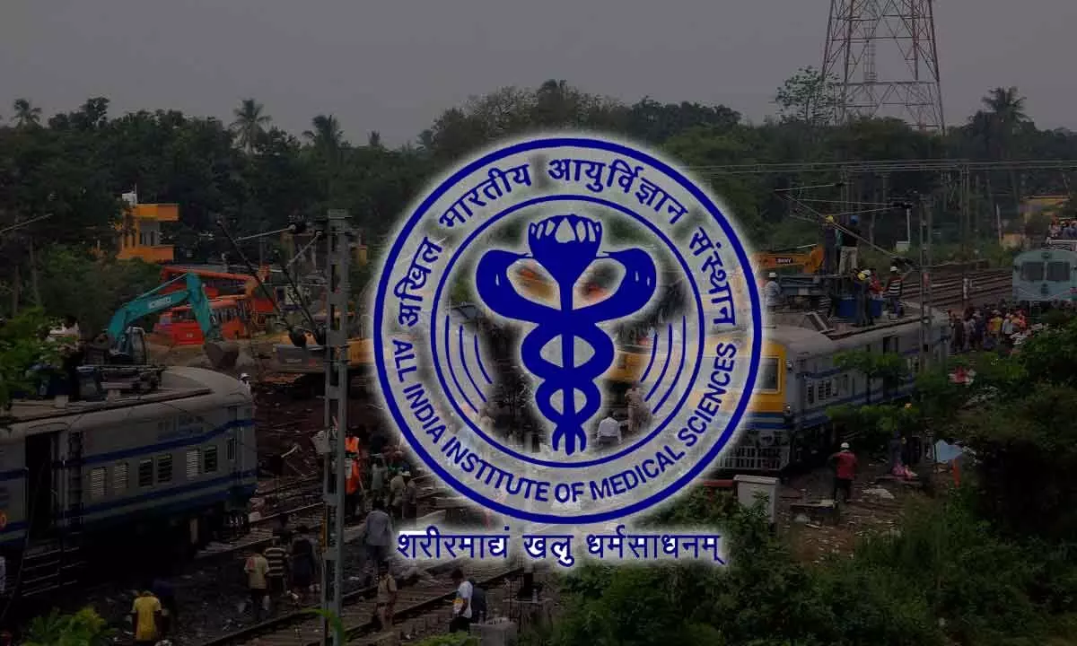 Unidentified Bodies From Odisha Train Disaster To Be Cremated; Remained In AIIMS Custody