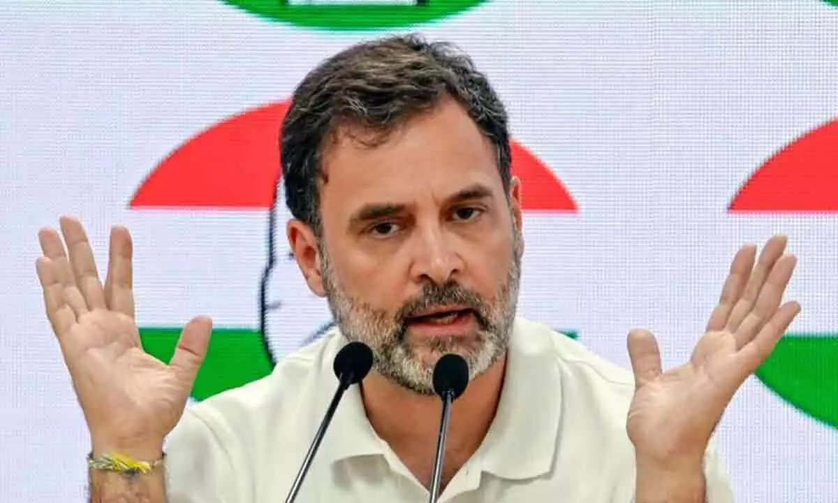 WCs historic decision to support caste census a powerful step for emancipation of poor: Rahul