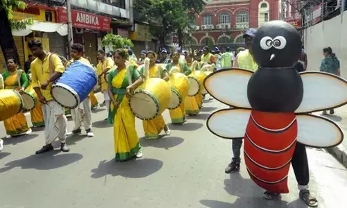 Dengue situation reaches alarming stage in Bengal with cases crossing 50 K-mark