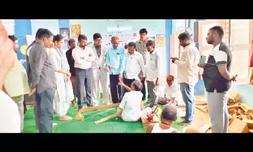 Central team collects first-hand  info on making of Bobbili Veena