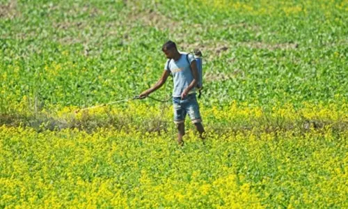 Representational image