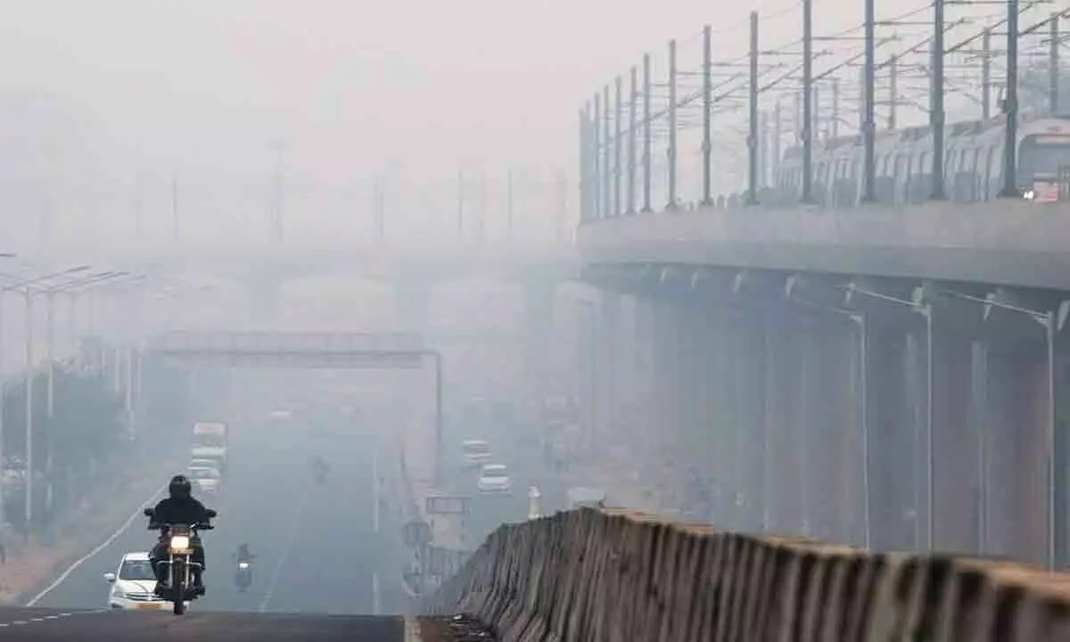 Delhi LG Urges Neighboring States To Tackle Farm Fires Contributing To Rising Air Pollution