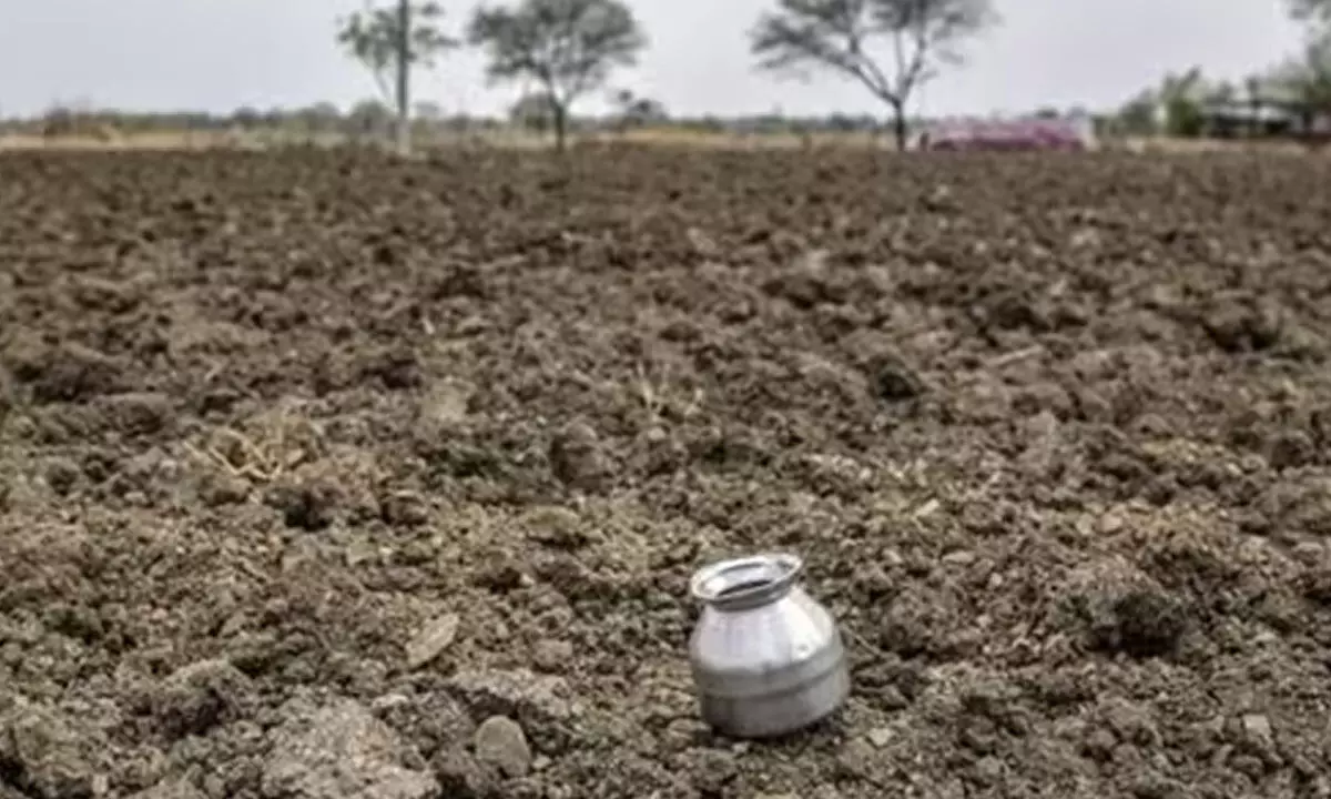 Karnataka declares drought in additional taluks