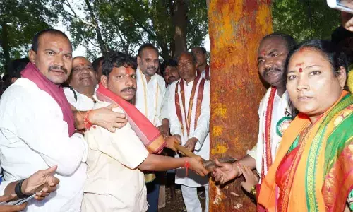ZP Chairman Chinna Srinu cutting the tree for Sirimanu