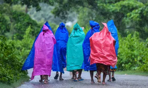 Wet spell likely to continue over Northwest India: IMD