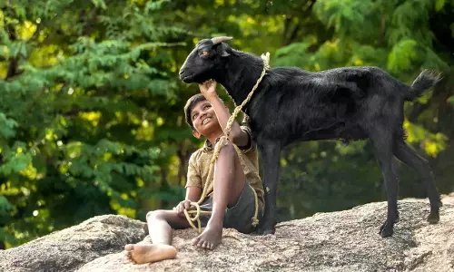 Blockbuster film ‘Kida’to be released as ‘Deepavali’ in Telugu