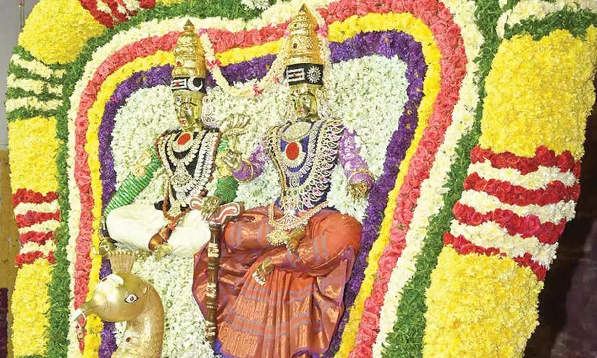 Srisailam: Lord, Goddess bless devotees from Mayura Vahanam