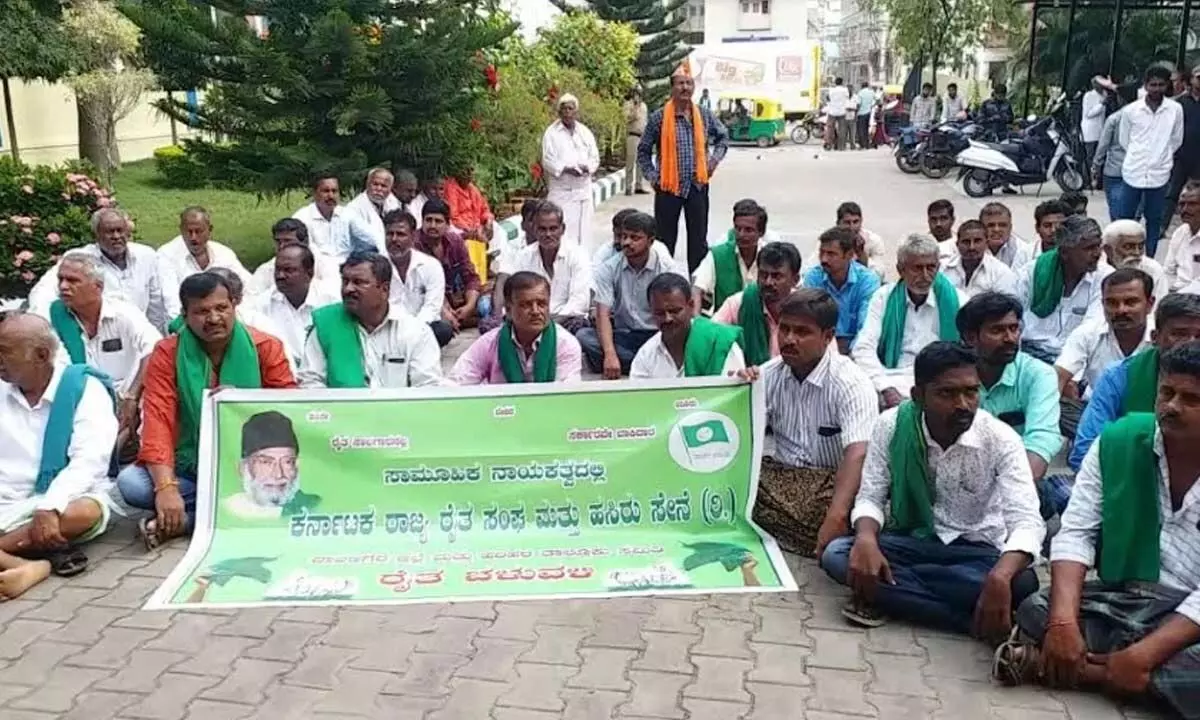Farmers in Davanagere demand power supply to save crops