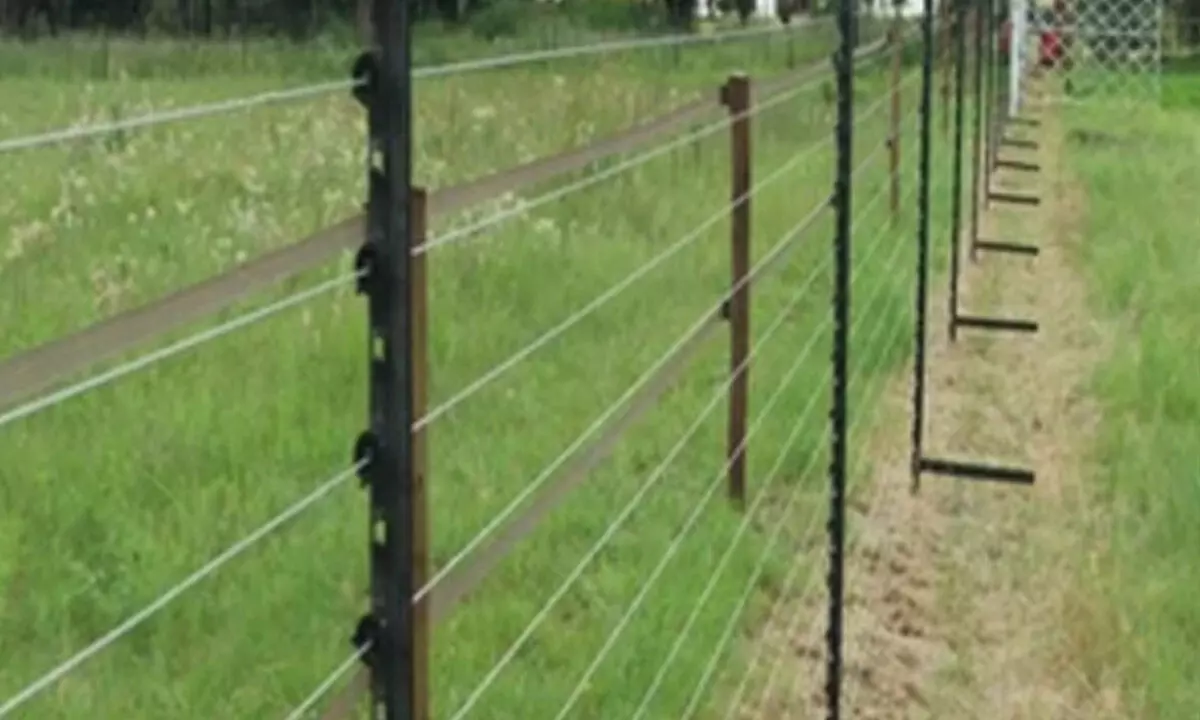 Solar fencing of UP wildlife sanctuaries, process begins