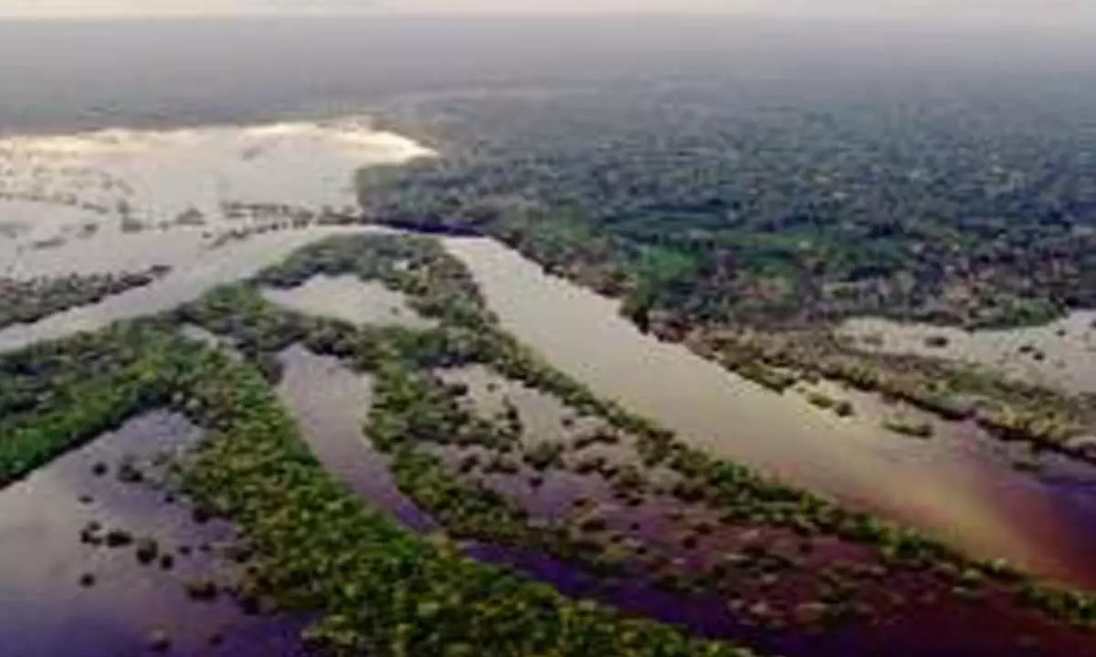Brazils Rio Negro river registers lowest water level since 1902