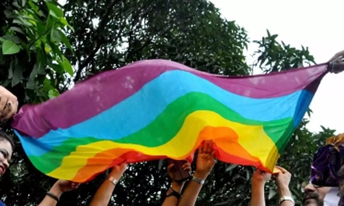For Kolkata’s LGBTQ rights activists the battle is not yet over