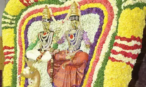 Srisailam: Lord, Goddess bless devotees from Mayura Vahanam