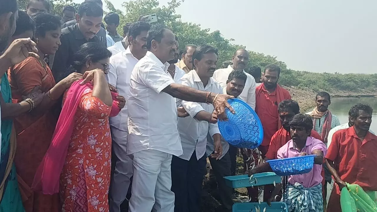 Deputy CM releases baby fish into Raiwada reservoir