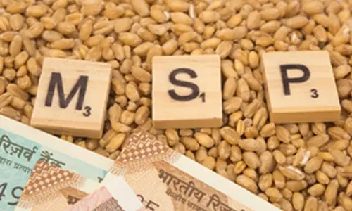 4% DA hike announcement, MSP raise in six Rabi crops likely by Union cabinet today 4% DA hike announcement, MSP raise in six Rabi crops likely by Union cabinet today