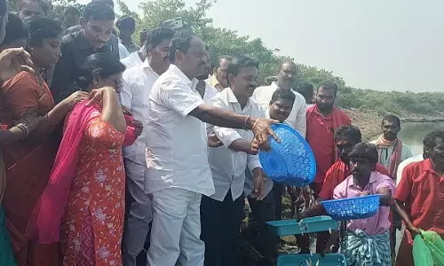 Deputy CM releases baby fish into Raiwada reservoir