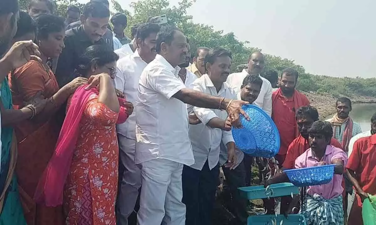 Anakapalli: Deputy Chief Minister Bodi Mutyala Naidu releases baby fish into Raiwada reservoir