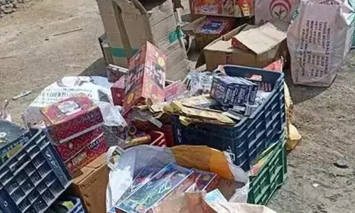 Bengal pollution board relaxes decibel limit for firecrackers